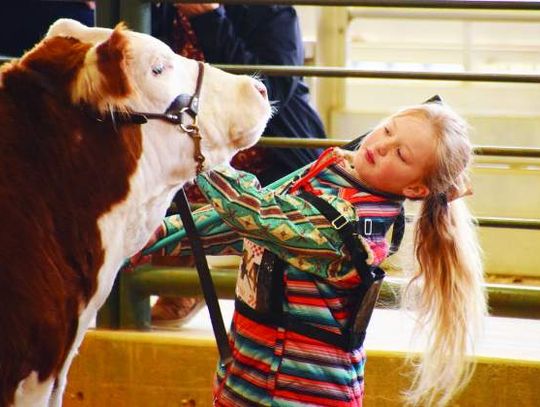 Youth livestock sale nets record