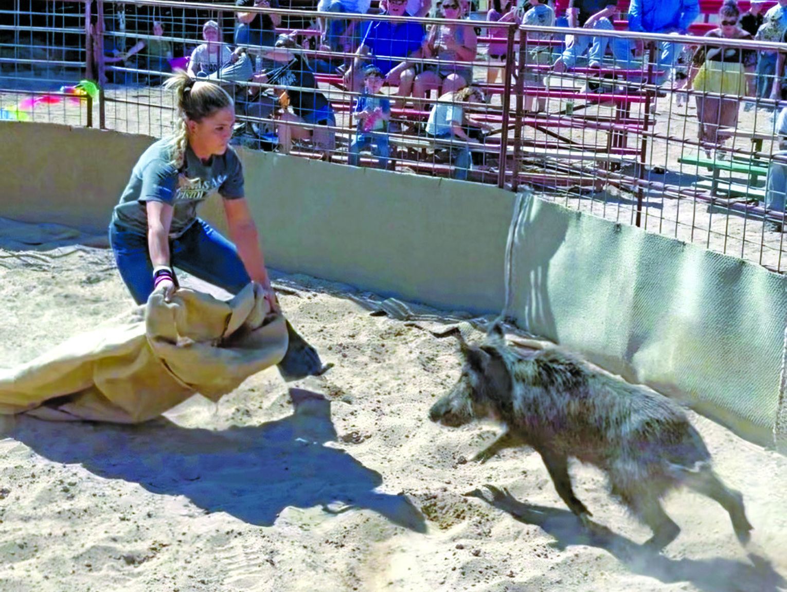 Boar Rodeo Boerne champion goes whole hog in Ham Rodeo