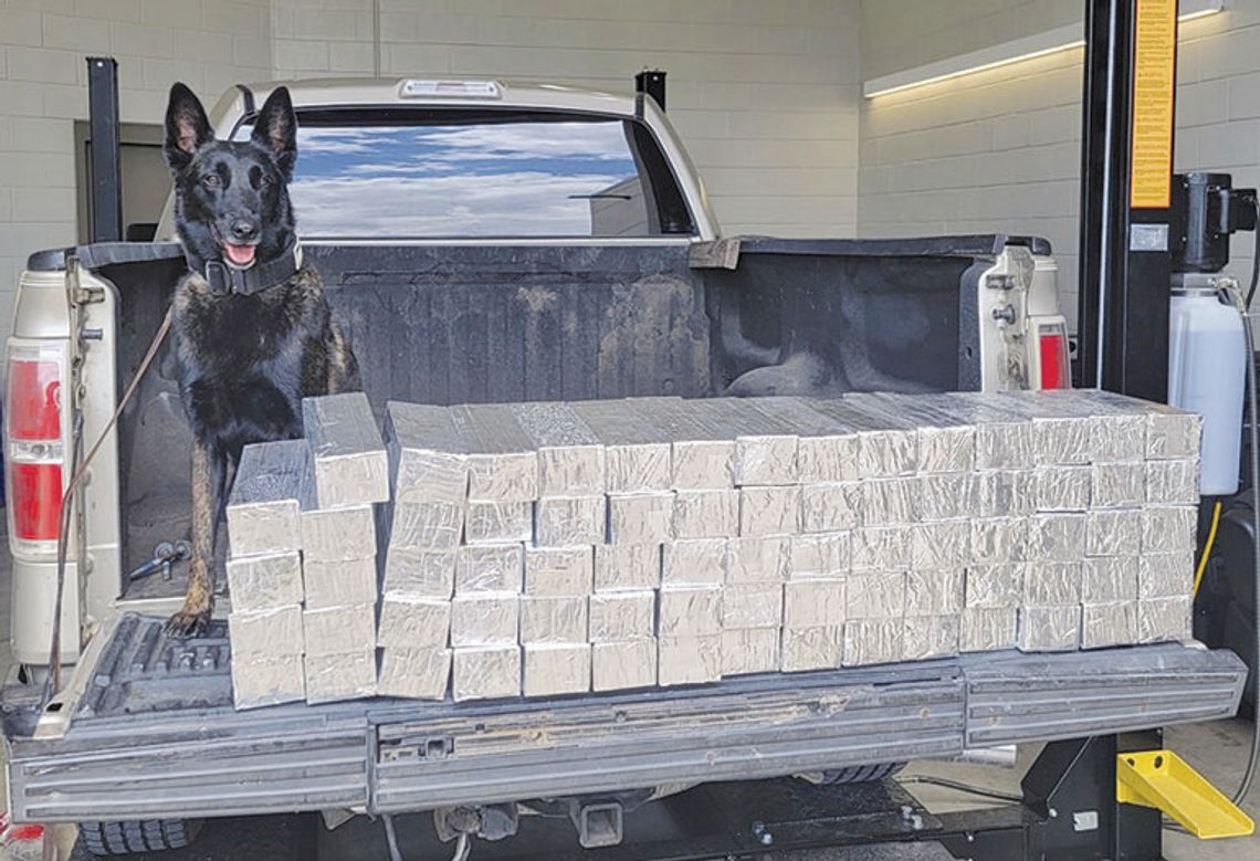 A whiff and a sniff puts man behind bars: Defendant in drug bust takes 50-year plea deal
