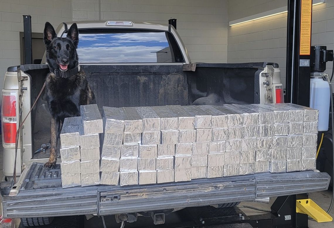A whiff and a sniff puts man behind bars: Defendant in drug bust takes 50-year plea deal