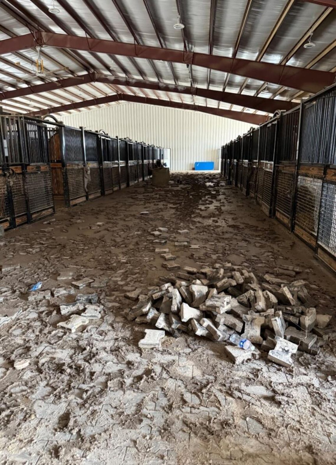 All-out response saved 120 horses at equestrian facility
