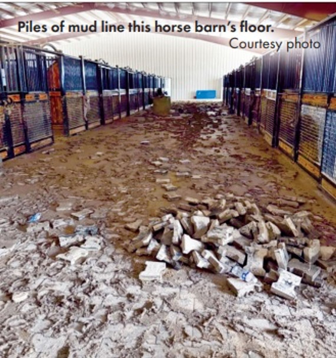 All-out response saved 120 horses at equestrian facility All-out response saved 120 horses at equestrian facility