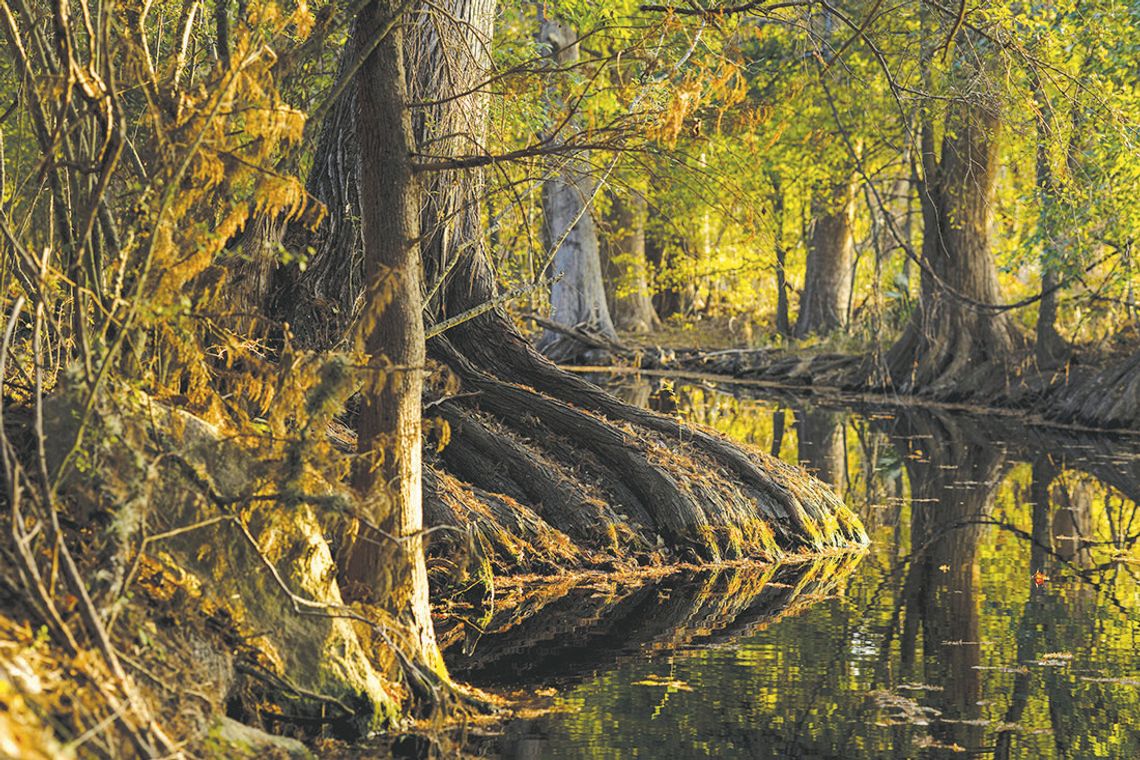 Bask in Hill Country’s ‘wild water’ Bask in Hill Country’s ‘wild water’