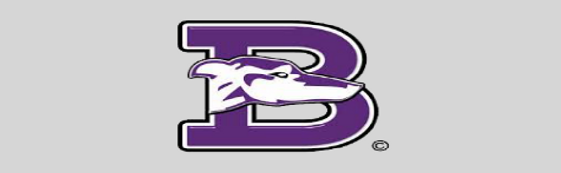 BHS baseball bounces back against Bulldogs