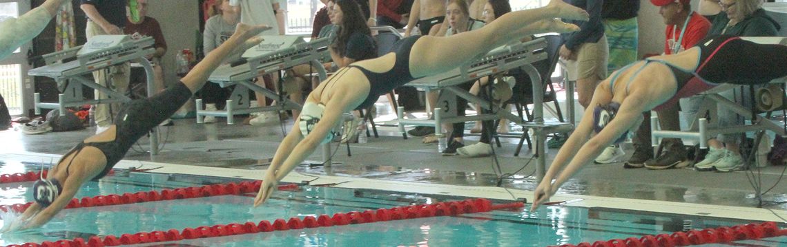 BHS SWIMMERS COMPETE AT REGIONALS,  SEVERAL HEAD TO STATE