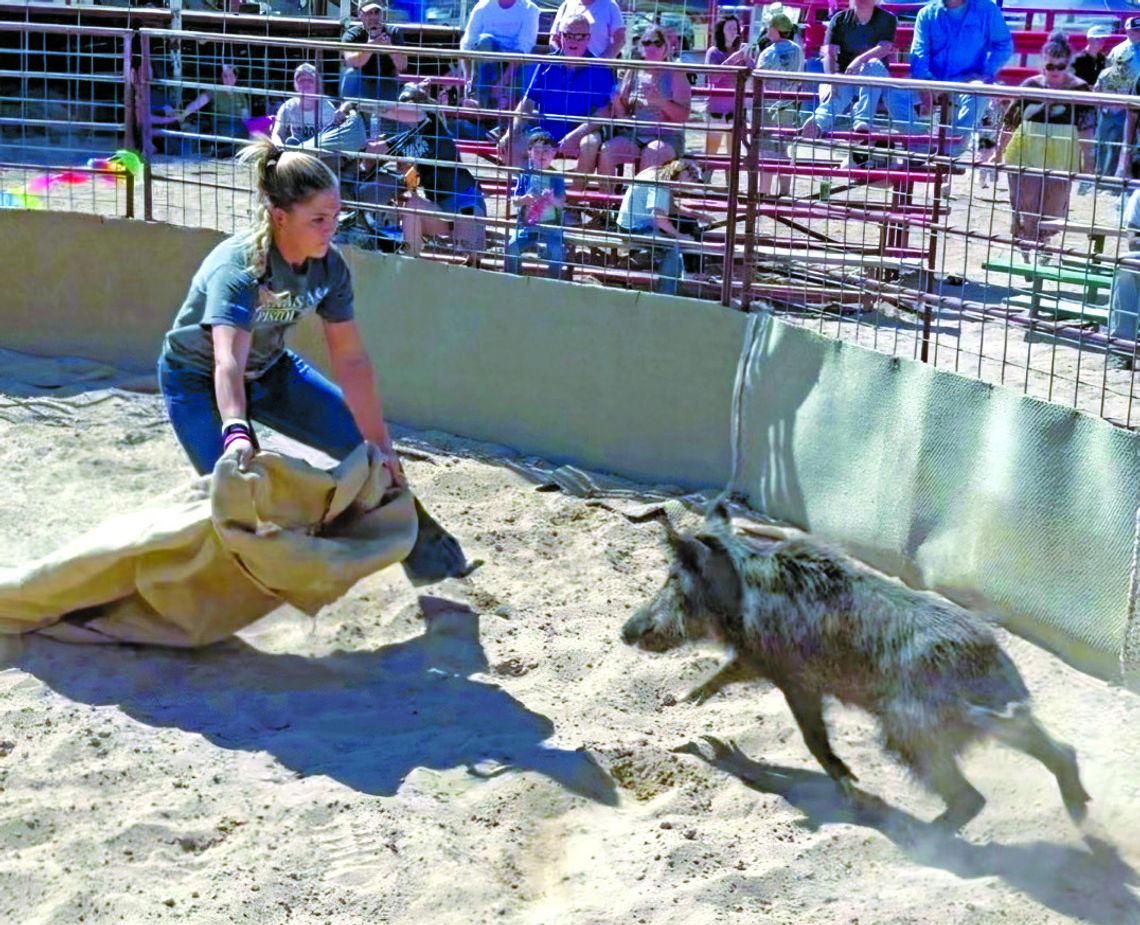 Boerne champion goes whole hog in Ham Rodeo Boerne champion goes whole hog in Ham Rodeo