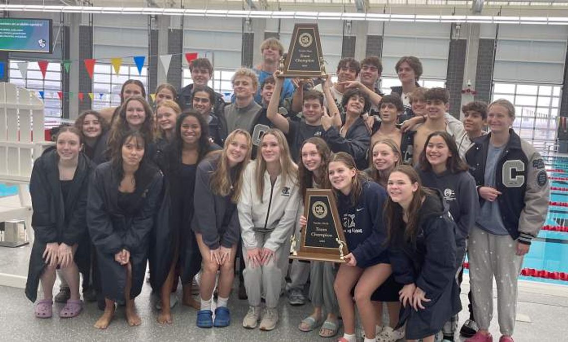 Boerne Champion swimmers, divers dominate at district