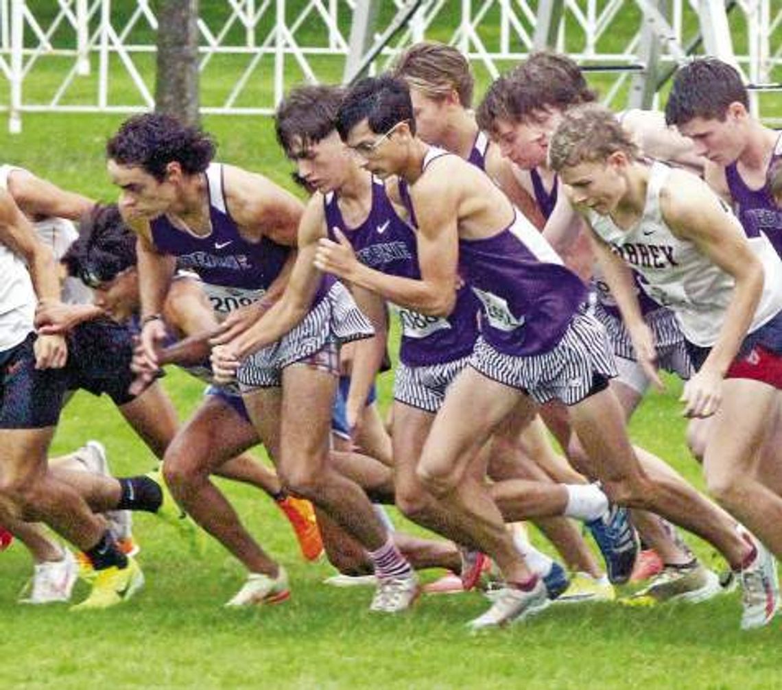 Boerne girls, boys compete at 4A state cross country meet