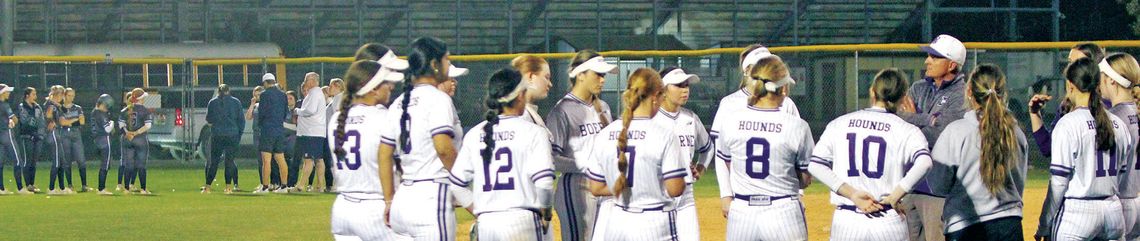 Boerne ISD softball players named all-district