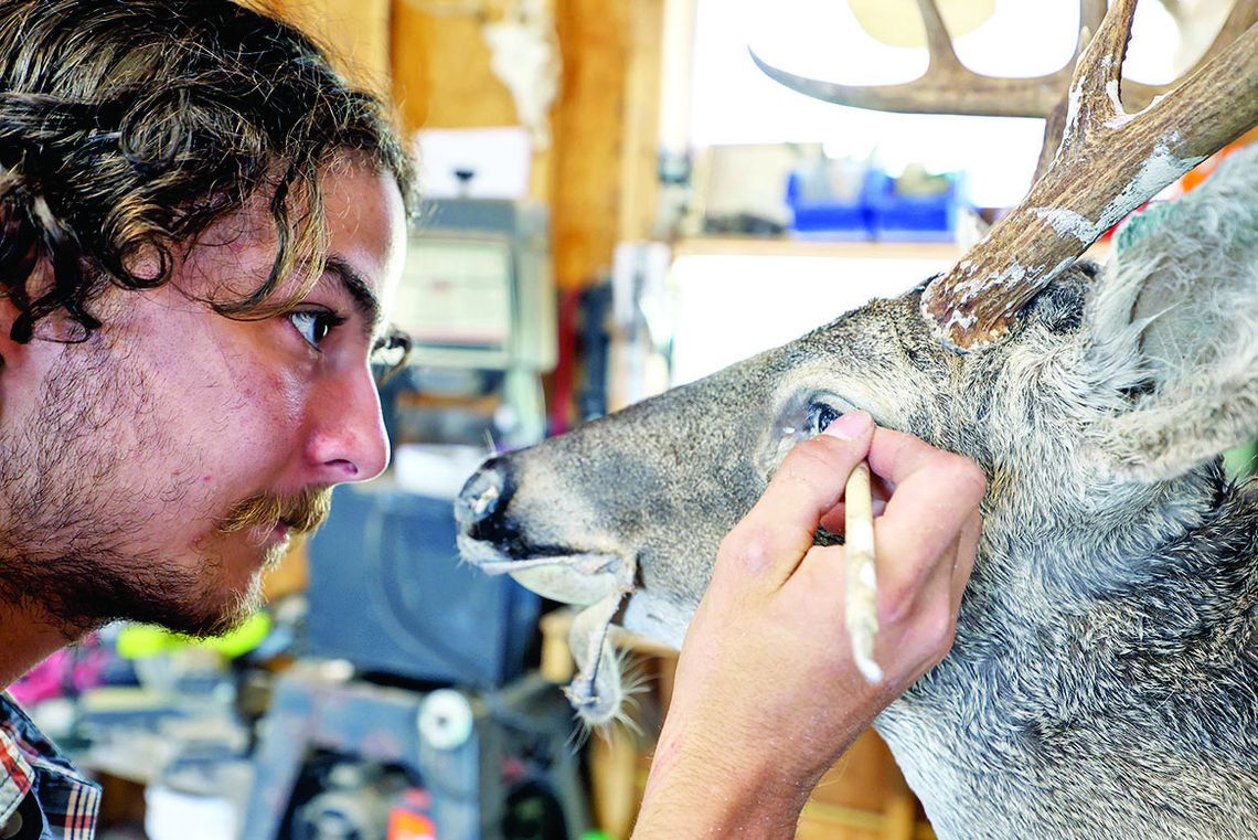 Boerne man takes state taxidermy award