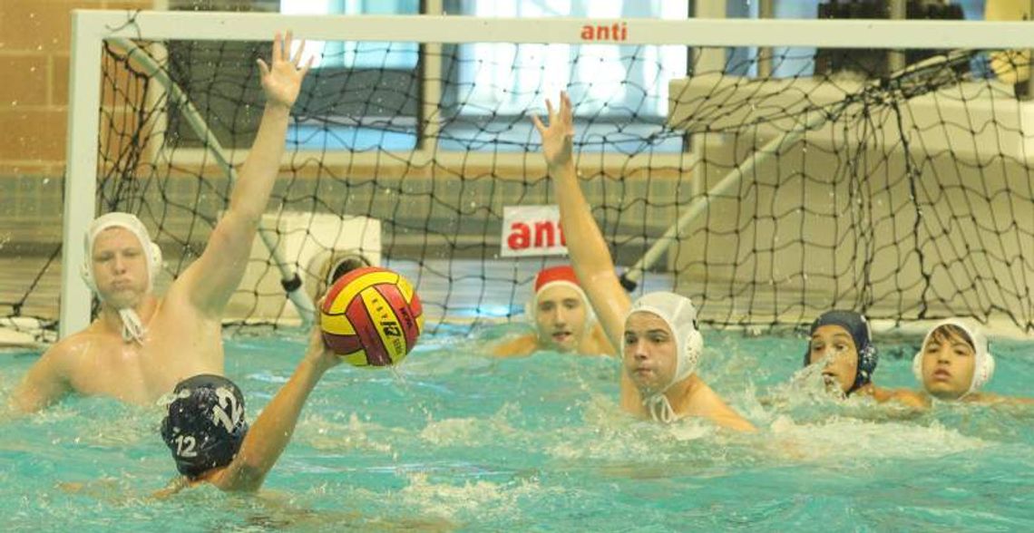 Chargers advance to regional water polo tourney