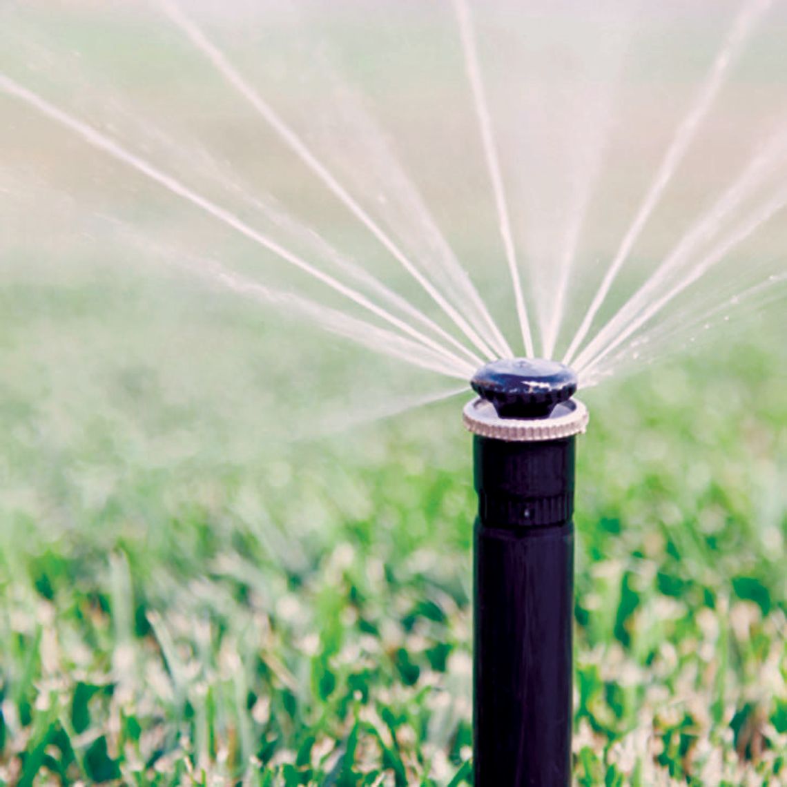 City rolls out water conservation rebate programs