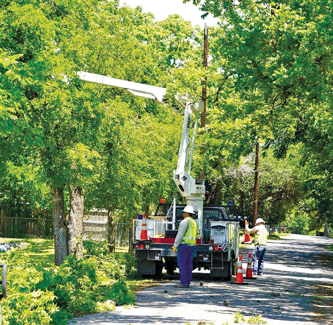 City tree trimming effort underway City tree trimming effort underway