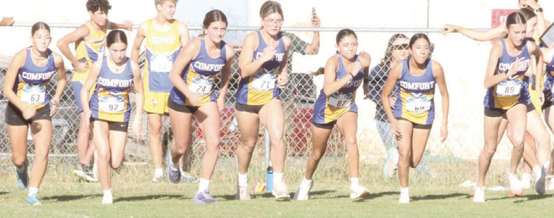 Comfort boys, girls cross country teams both headed to regionals