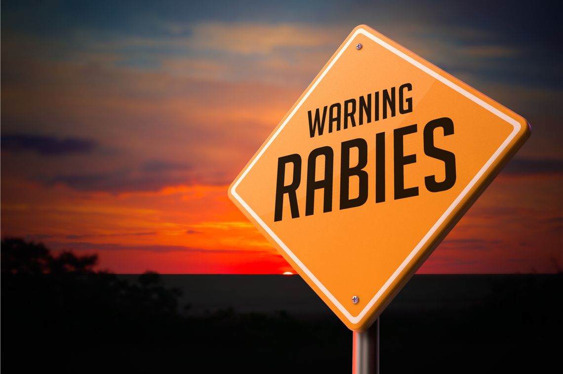 County warns residents after rabid fox cases logged