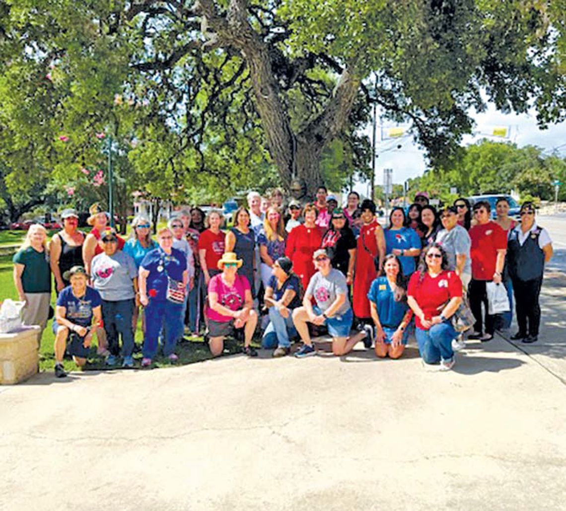 Dozens take part in Womens Veterans Day salute