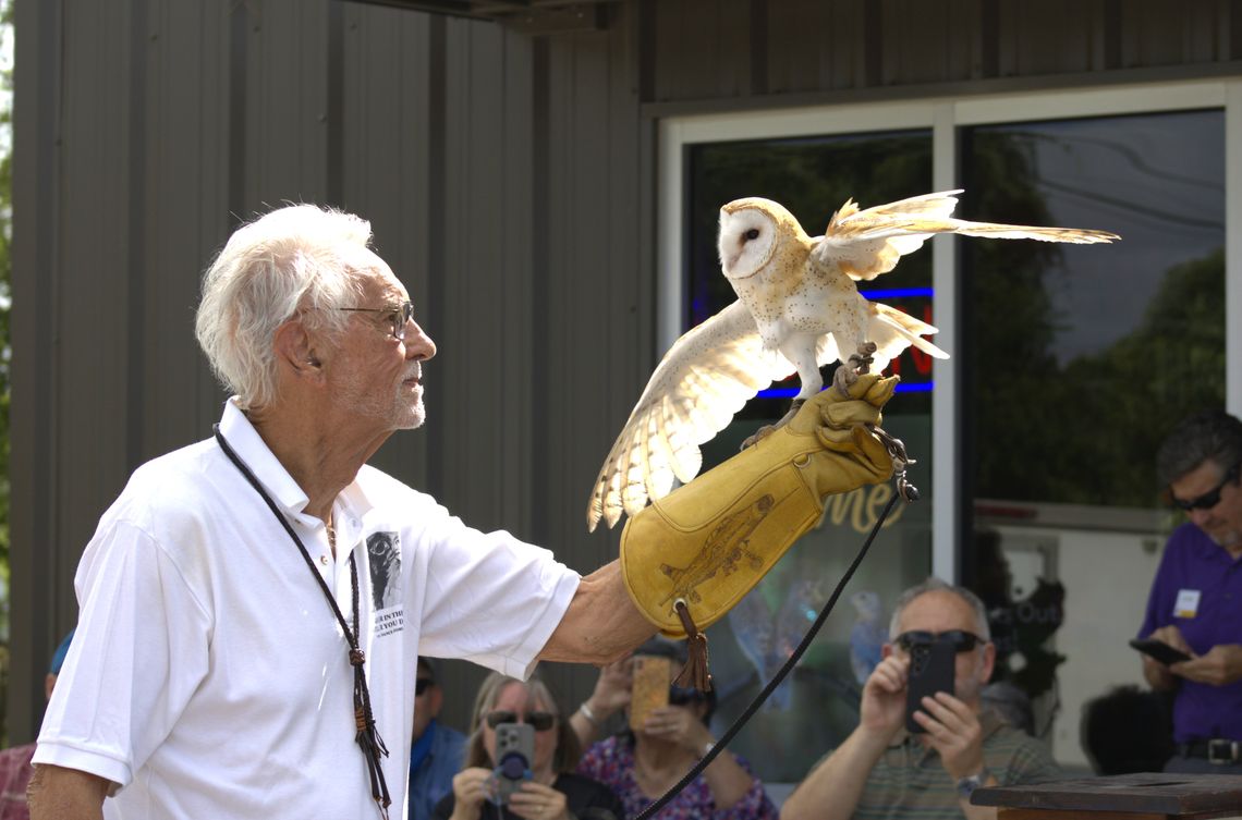 Eagles, owls, falcons bring crowd to store’s celebration