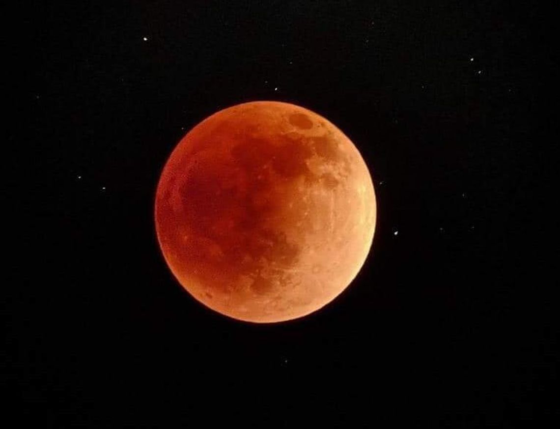 Eyes to the skies: An early morning rarity