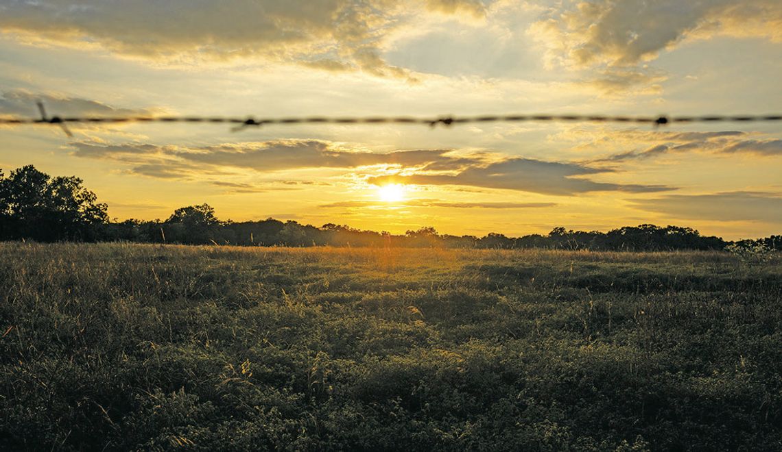 Finding resilience in nature Finding resilience in nature