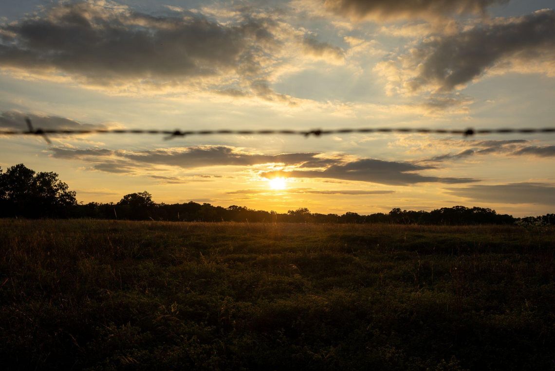 Finding resilience in nature