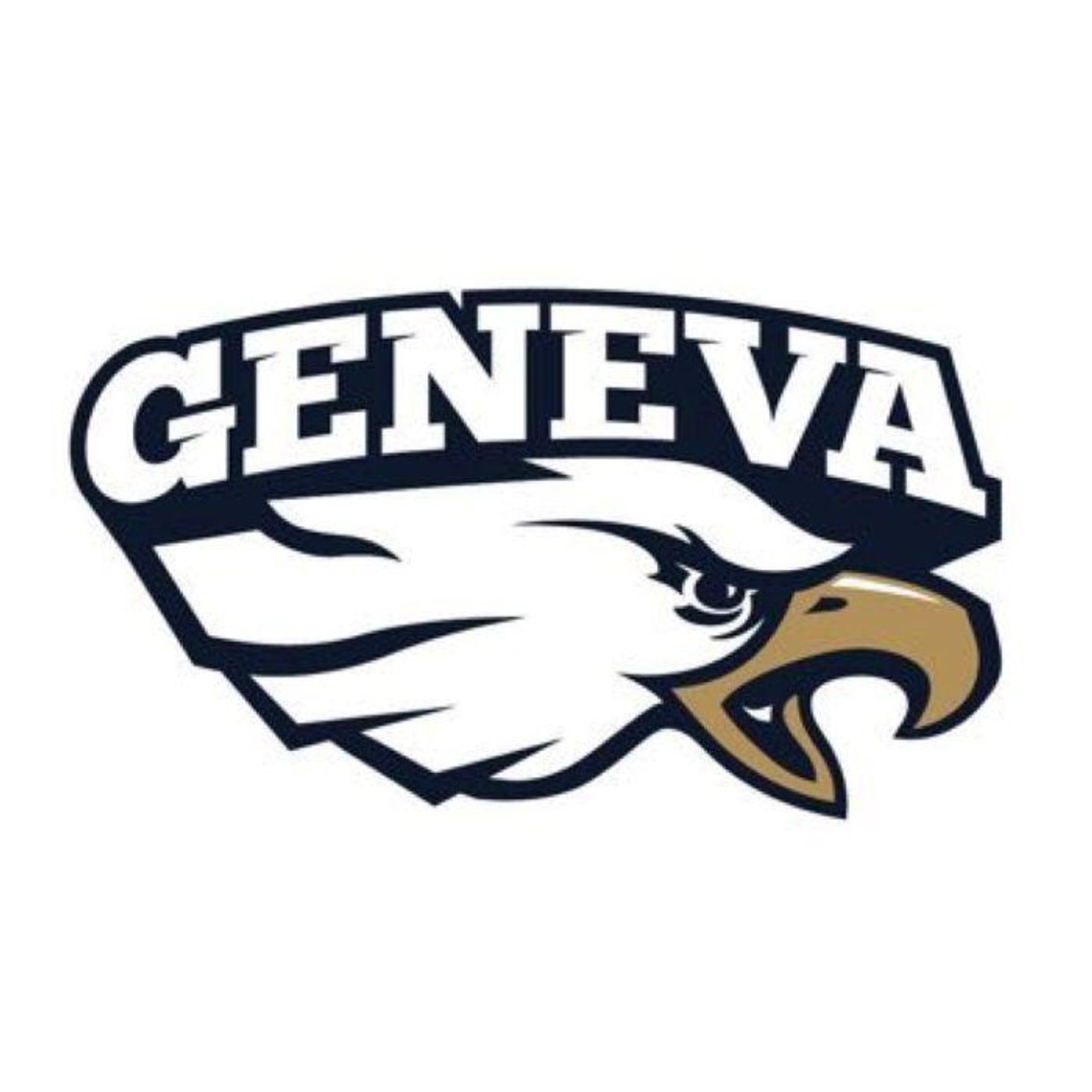 Geneva teacher placed on leave after arrest