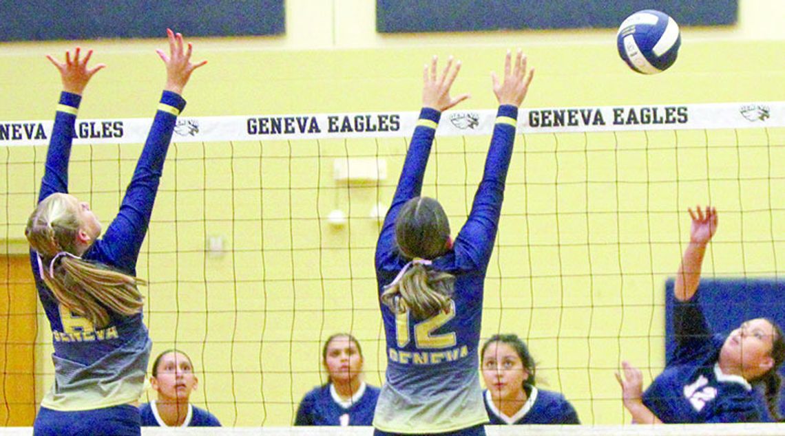 Geneva volleyball handles Holy Cross in district contest