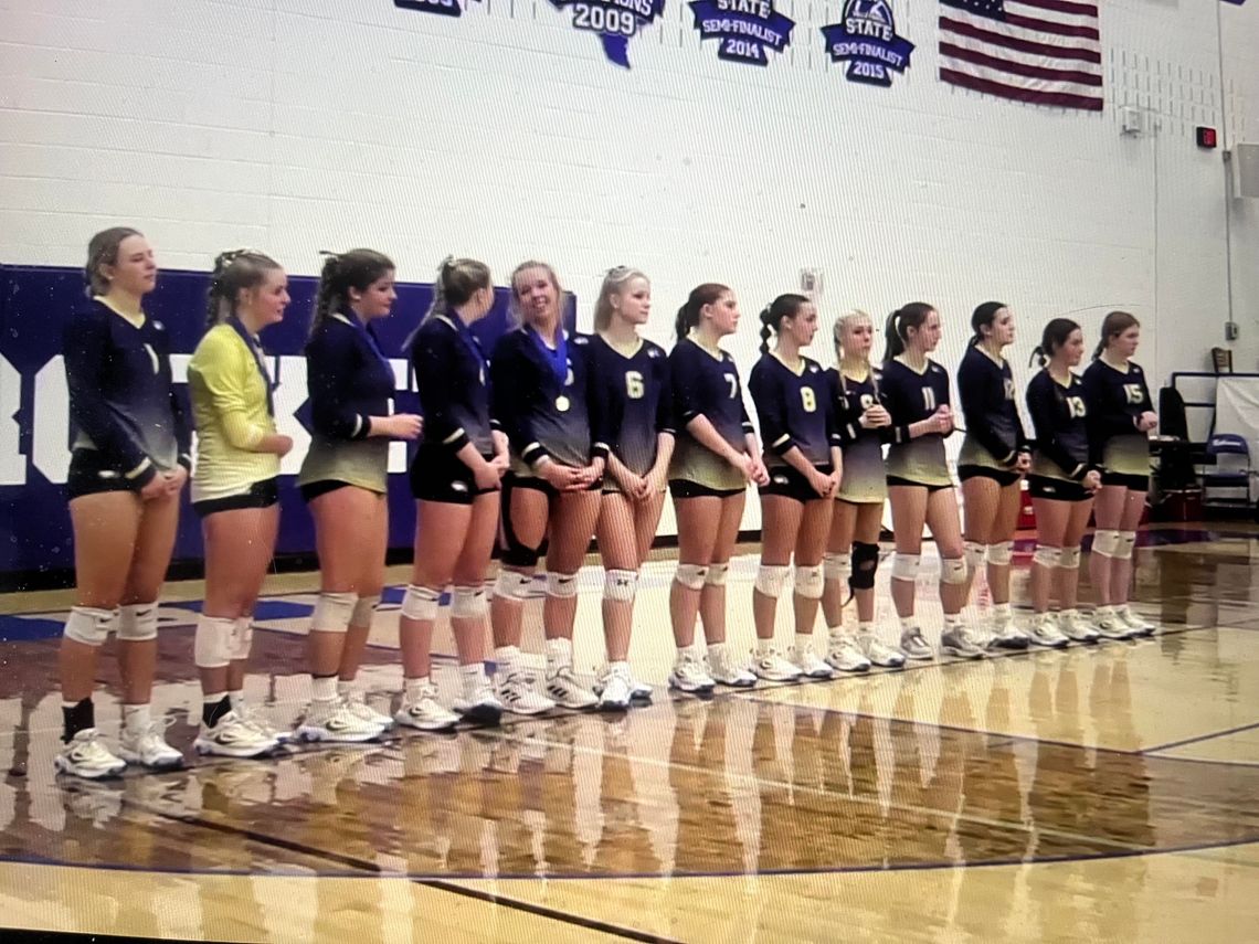 Geneva volleyball team defeated in state championship match