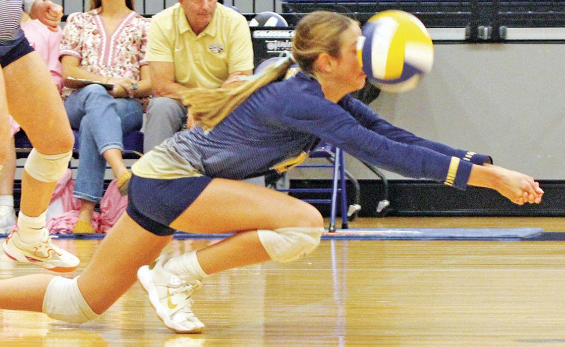 Geneva volleyball wins, faced Holy Cross Tuesday