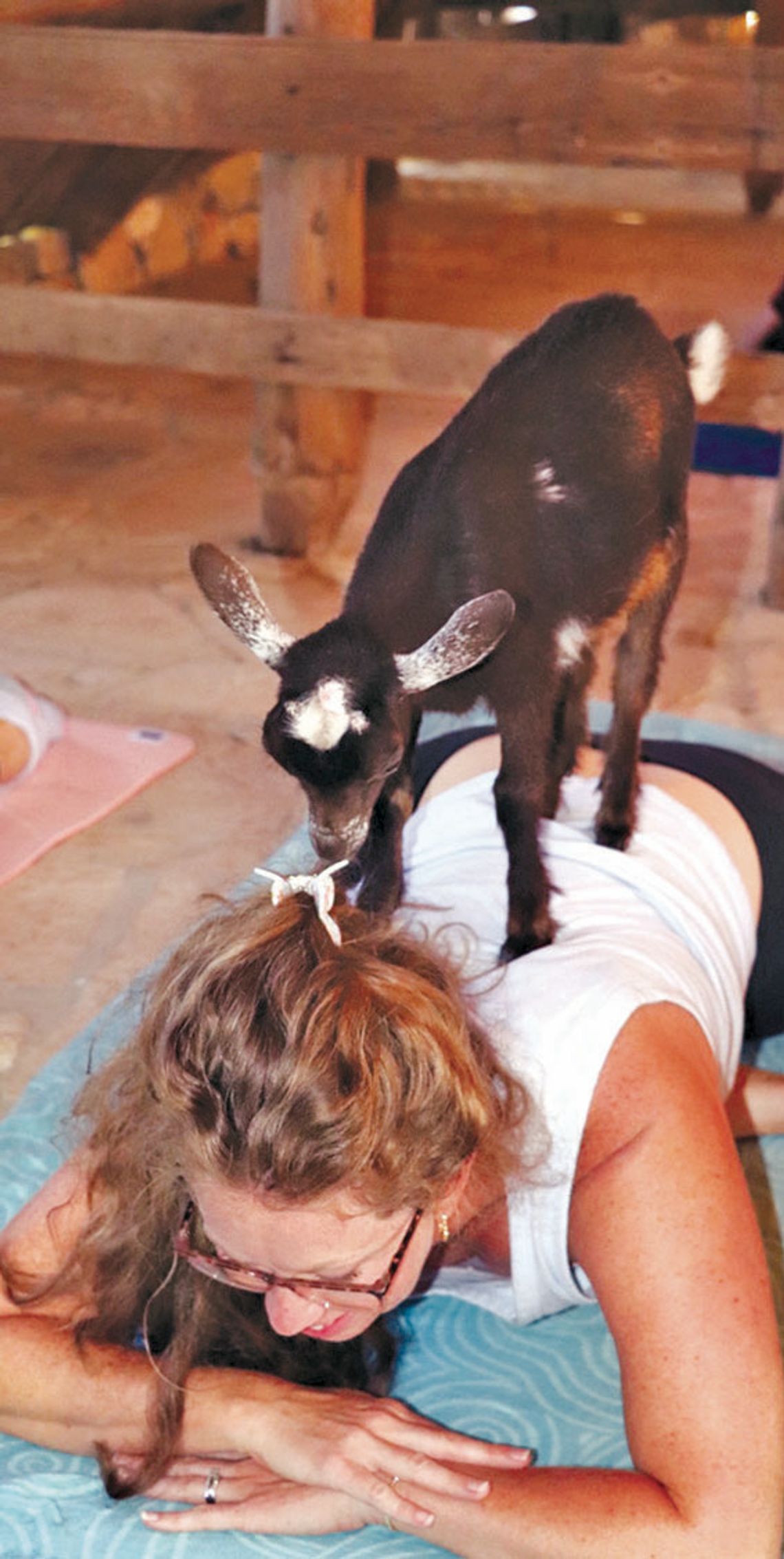 Goat yoga got you down?