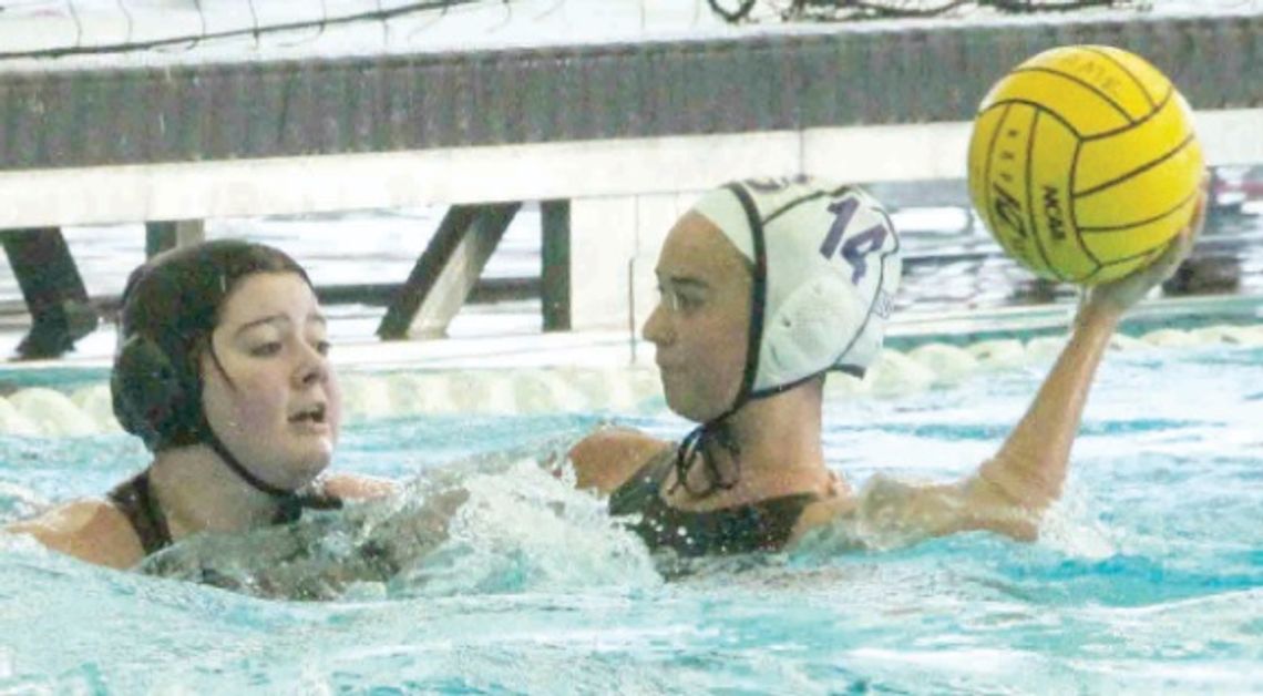 Greyhound, Charger girls water polo teams cruise in first round of playoffs Greyhound, Charger girls water polo teams cruise in first round of playoffs