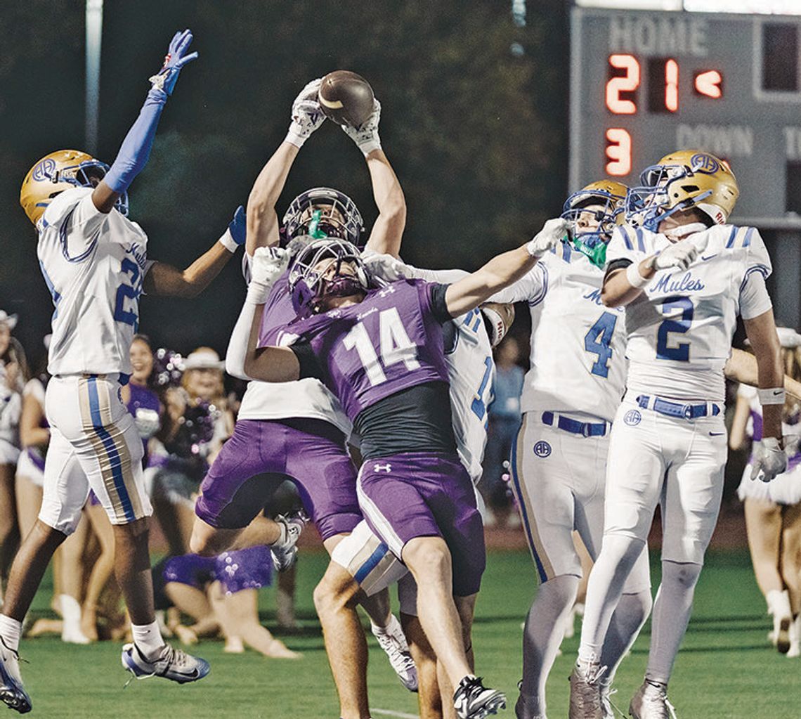 Greyhounds, Mules played Friday night Greyhounds, Mules played Friday night