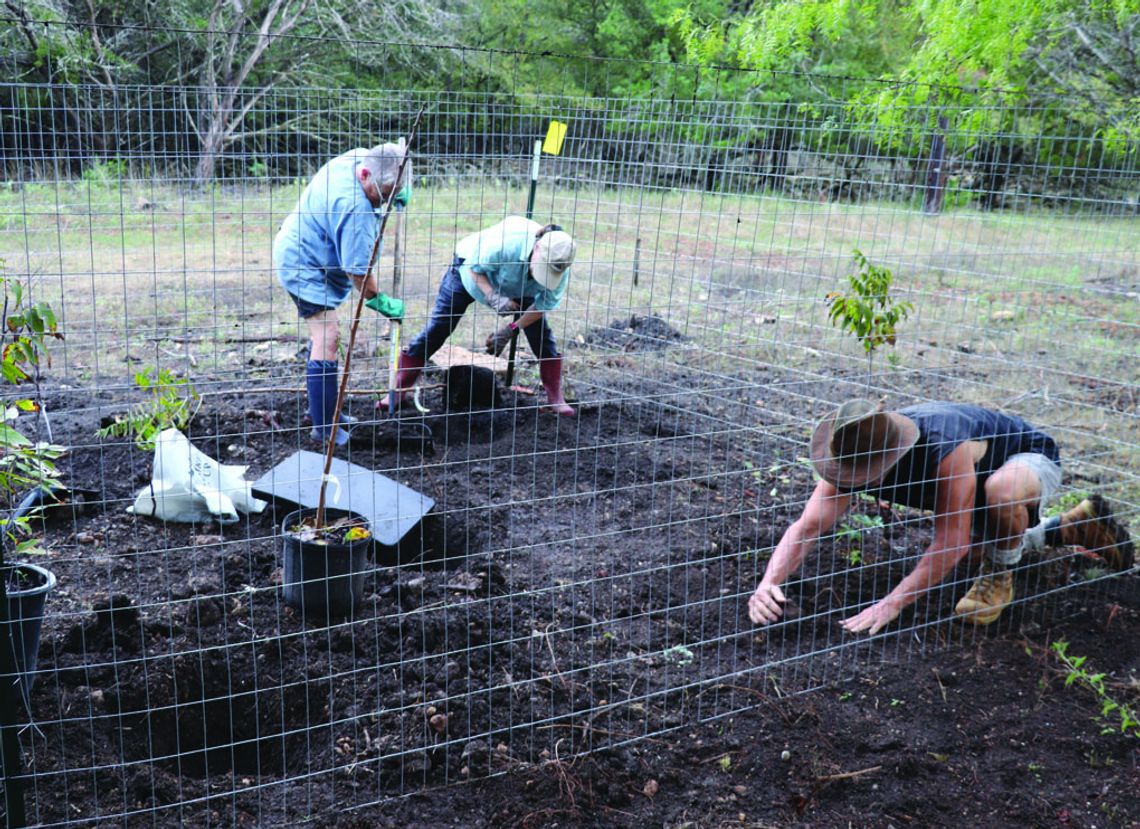 Groups plant trees to help restore acreage