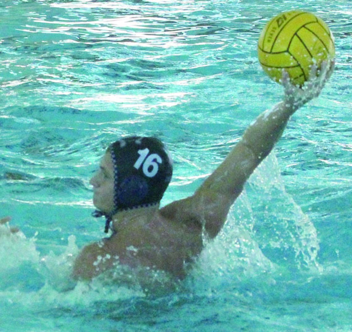 Harrison named All-American in water polo