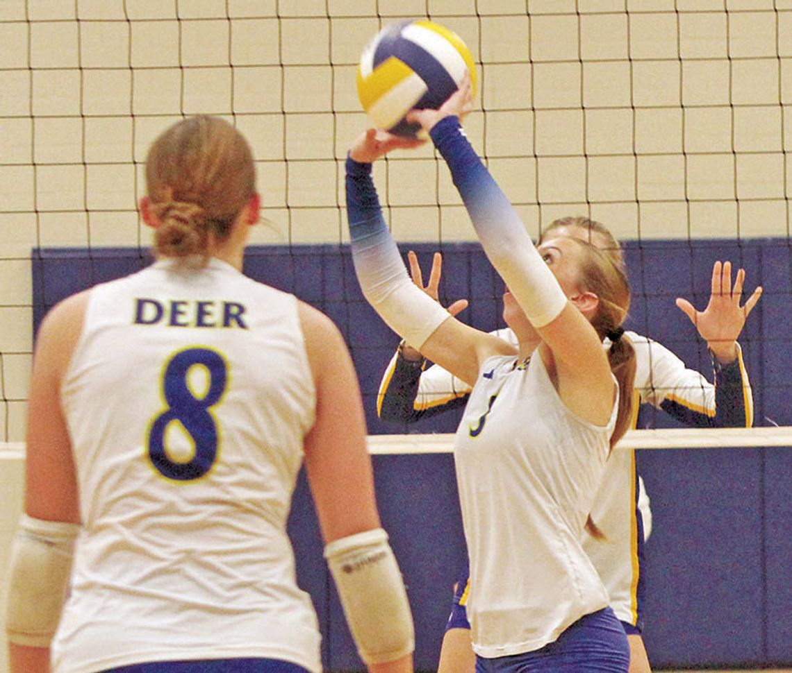 Holliday defeats Comfort Deer in second round