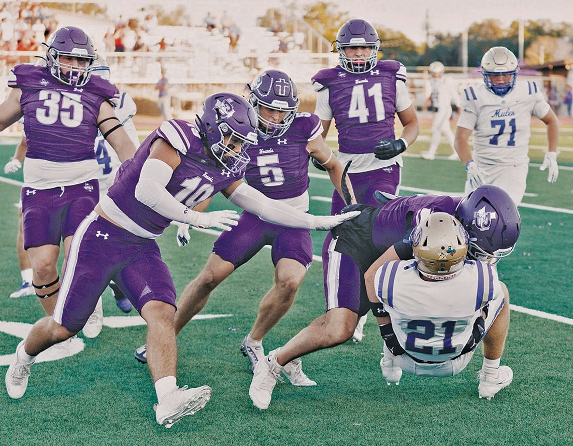 Hounds hand Mules first district loss since 2019