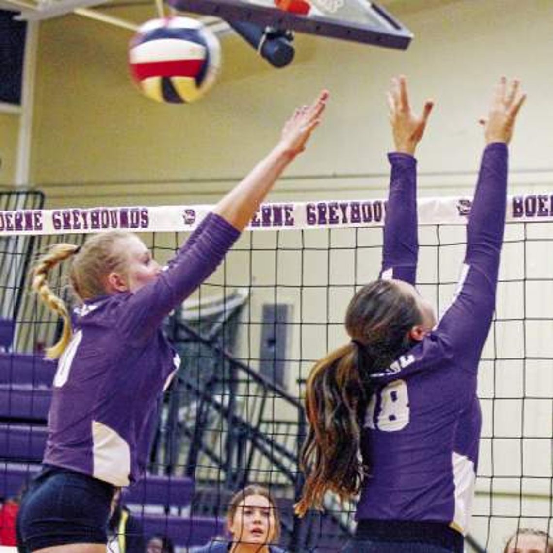 Lady Greyhounds entered in NE/NS volleyball tourney 