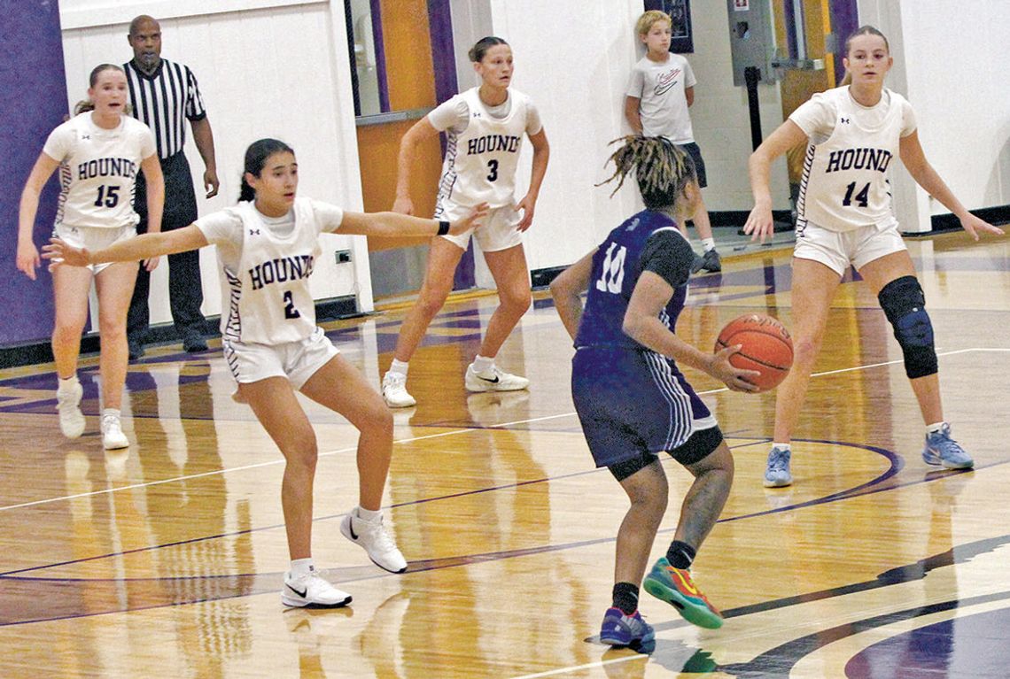 Lady Greyhounds wear down Warriors