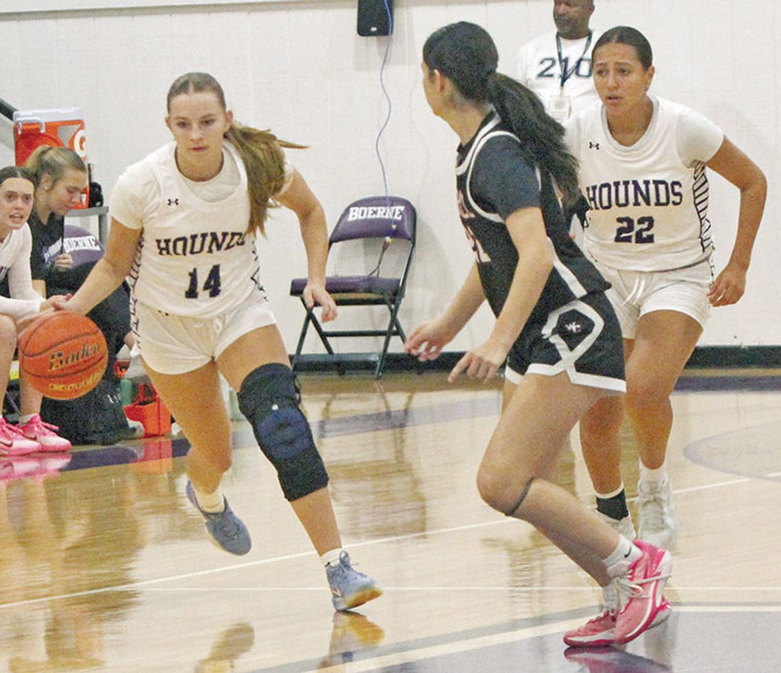 Lady Hounds face No. Lady Hounds face No.