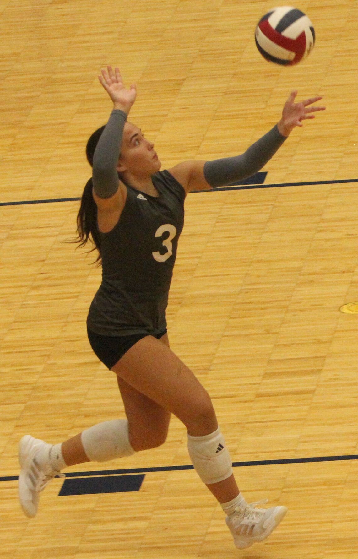 Lady Hounds sweep Stevens in season opener