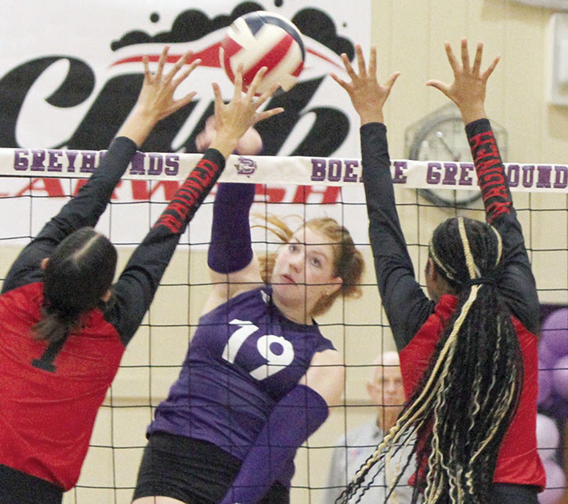 Lady Hounds sweep Veterans Memorial