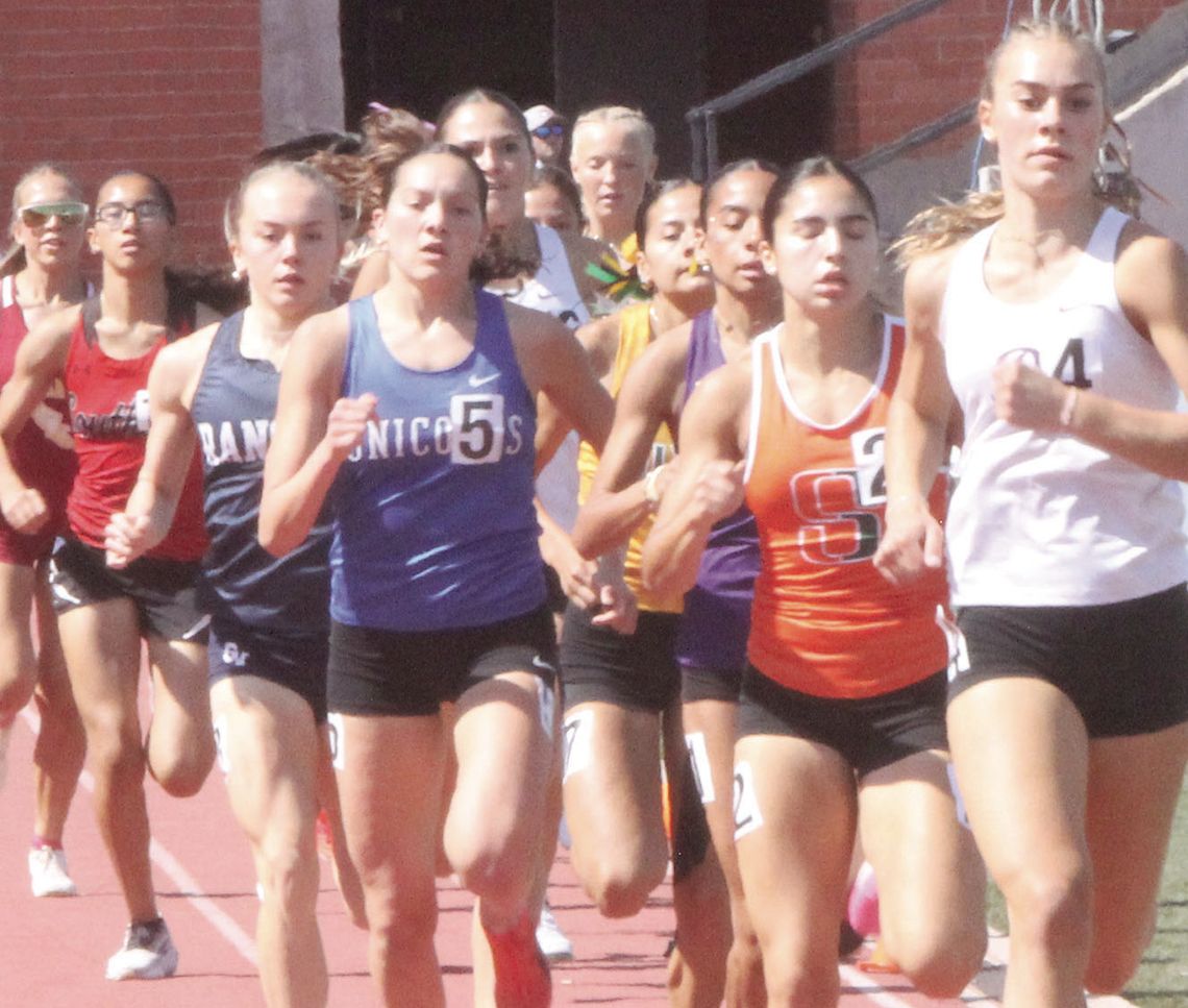 Leader of the Pack!