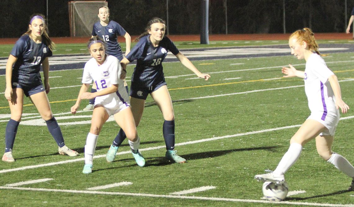 Lucky 13 BISD girls soccer players named all-district