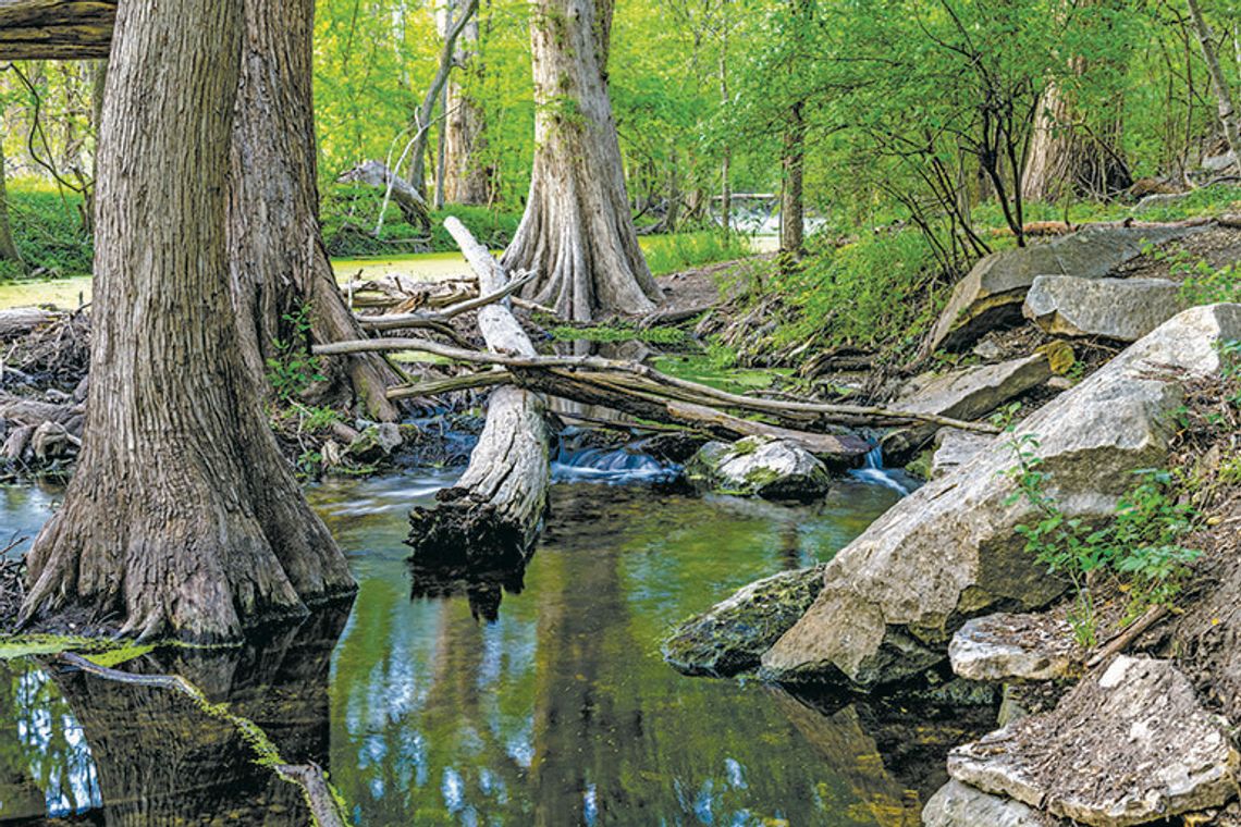 Multifunctional landscapes: One use for everything