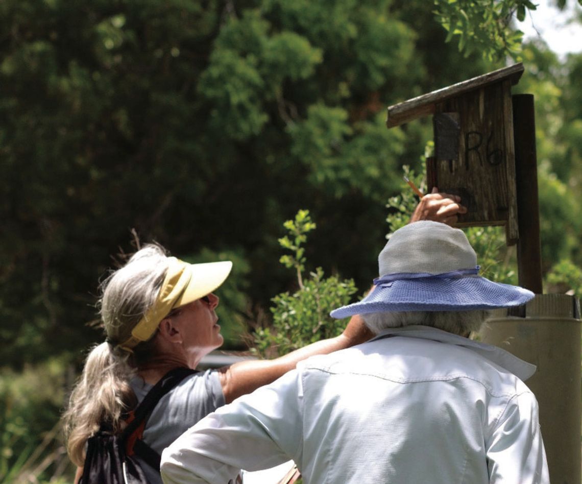 Nest boxes, citizen science: A natural partnership