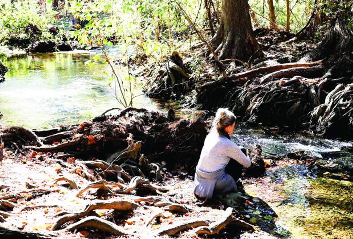 New forest therapy class offered at the Cibolo