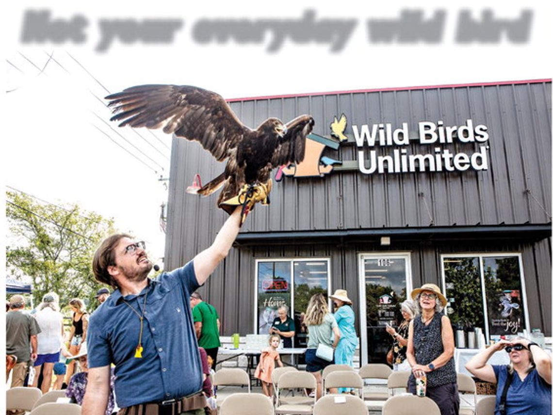Not your everyday wild bird