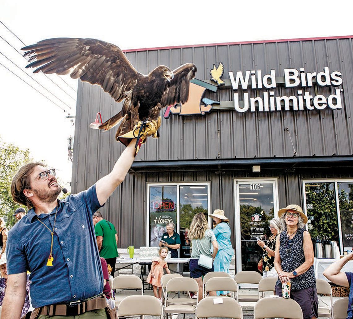 NOT YOUR EVERYDAY WILD BIRD NOT YOUR EVERYDAY WILD BIRD