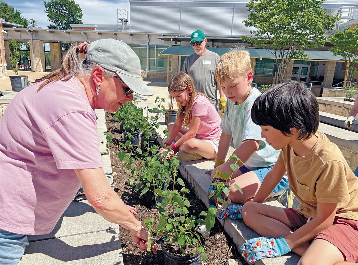 Pollinator garden effort pays off at Fabra