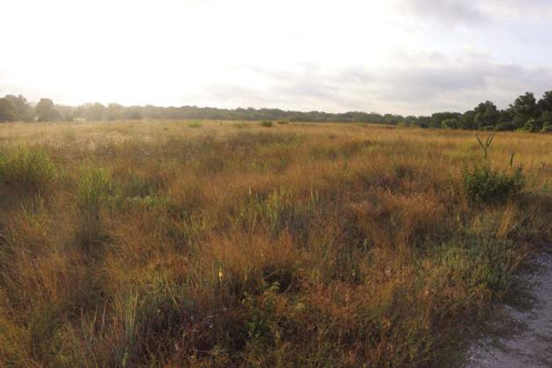 Prescribed burn paying off for Preserve