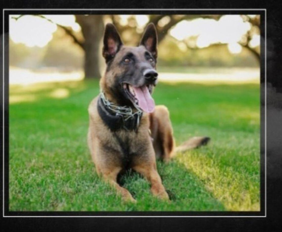 REMINDER: Memorial Service is May 6 for Boerne K9 Chico - -